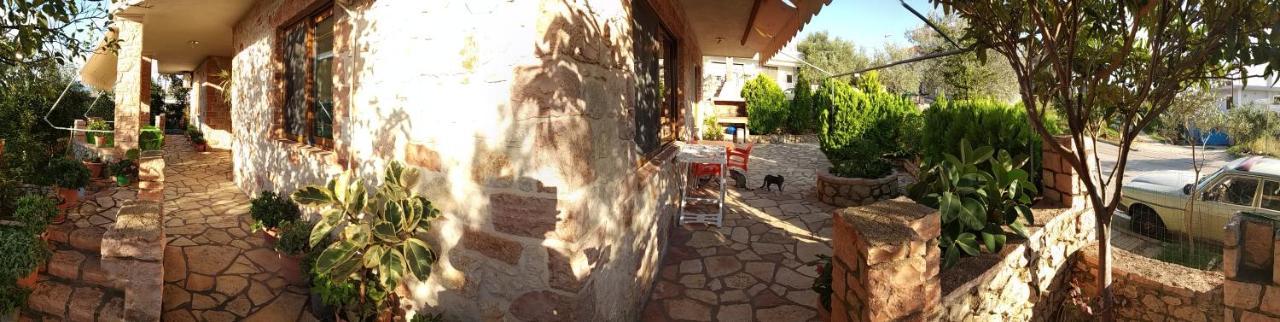 كساميل Altin Skrapari Guesthouse المظهر الخارجي الصورة