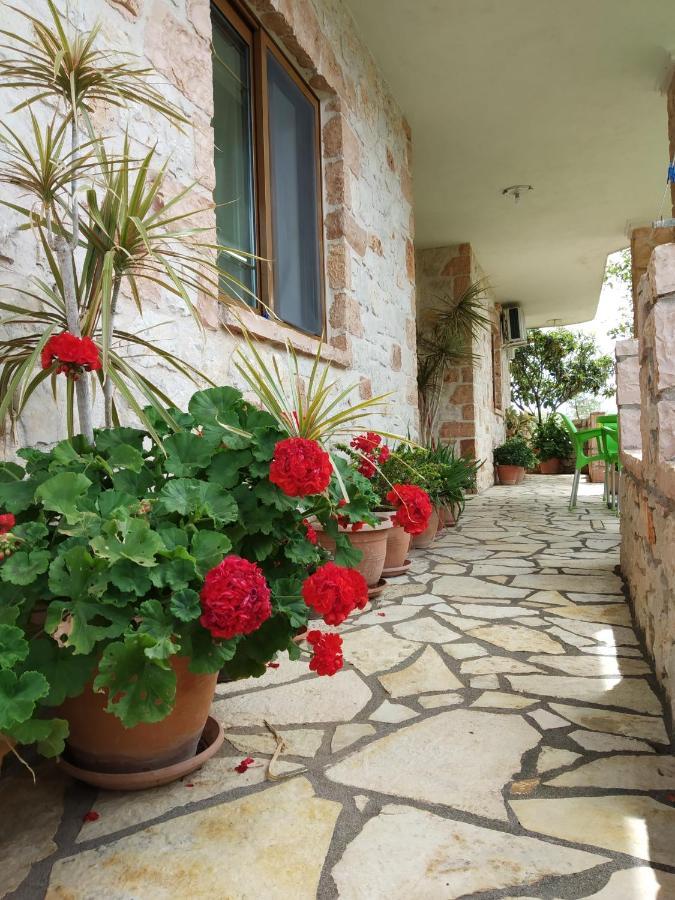 كساميل Altin Skrapari Guesthouse المظهر الخارجي الصورة