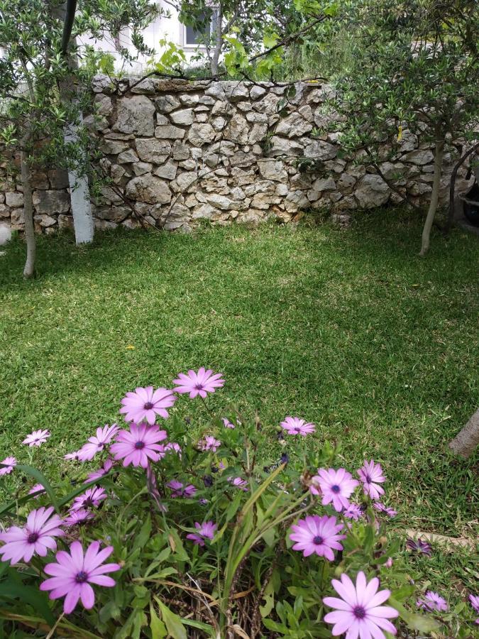 كساميل Altin Skrapari Guesthouse المظهر الخارجي الصورة