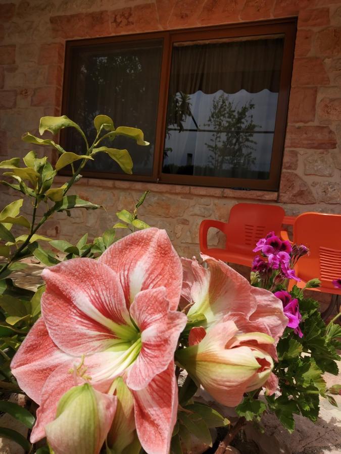 كساميل Altin Skrapari Guesthouse المظهر الخارجي الصورة