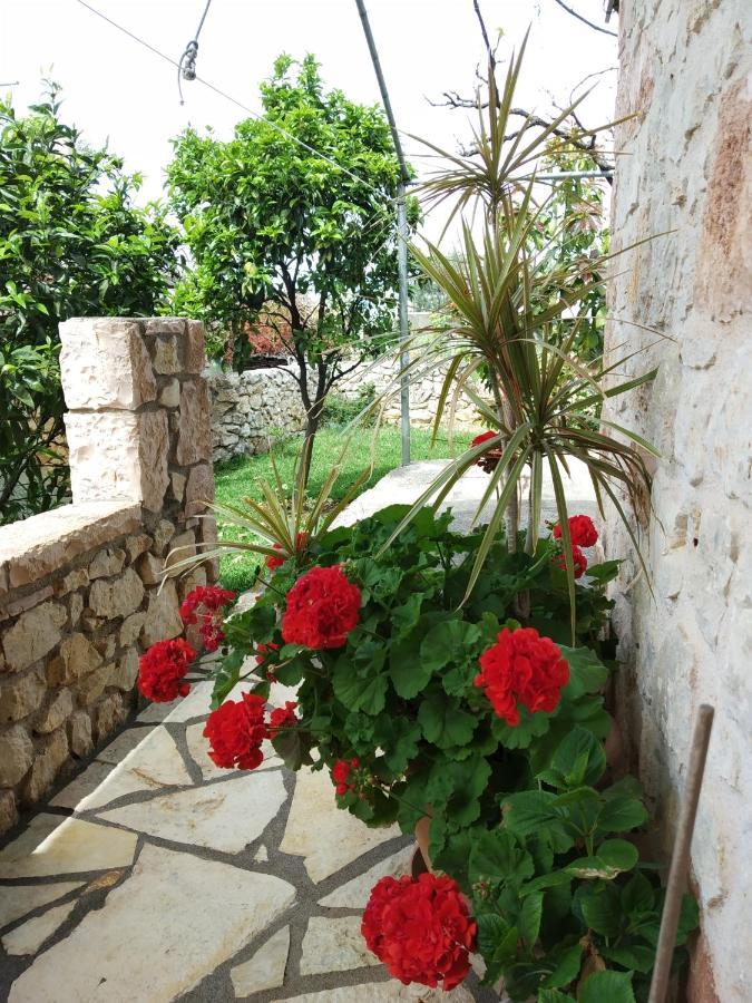 كساميل Altin Skrapari Guesthouse المظهر الخارجي الصورة