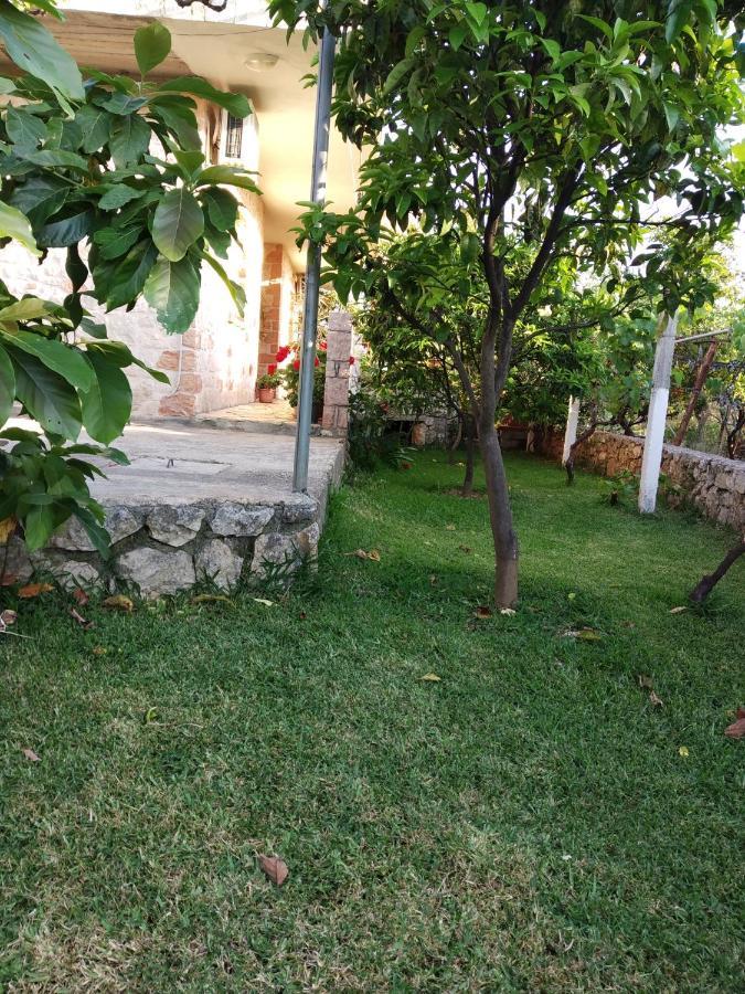 كساميل Altin Skrapari Guesthouse المظهر الخارجي الصورة