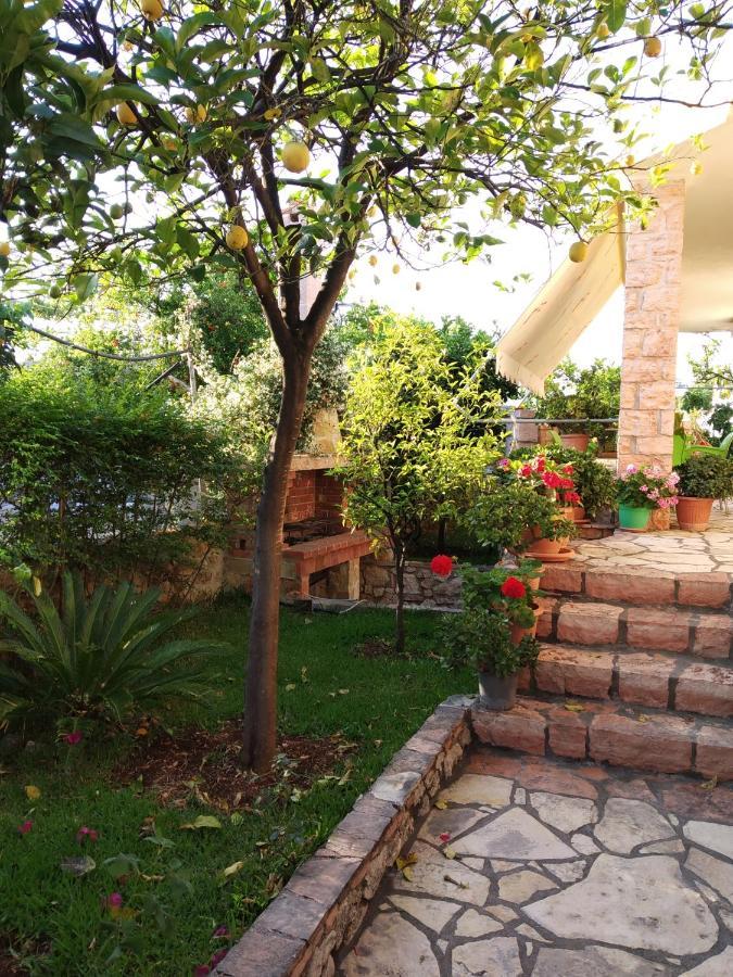 كساميل Altin Skrapari Guesthouse المظهر الخارجي الصورة