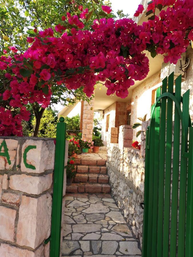 كساميل Altin Skrapari Guesthouse المظهر الخارجي الصورة