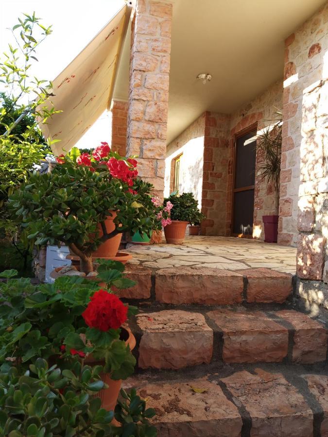 كساميل Altin Skrapari Guesthouse المظهر الخارجي الصورة