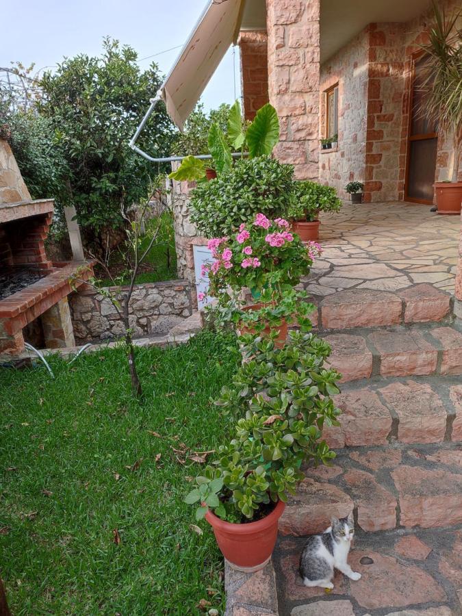 كساميل Altin Skrapari Guesthouse المظهر الخارجي الصورة