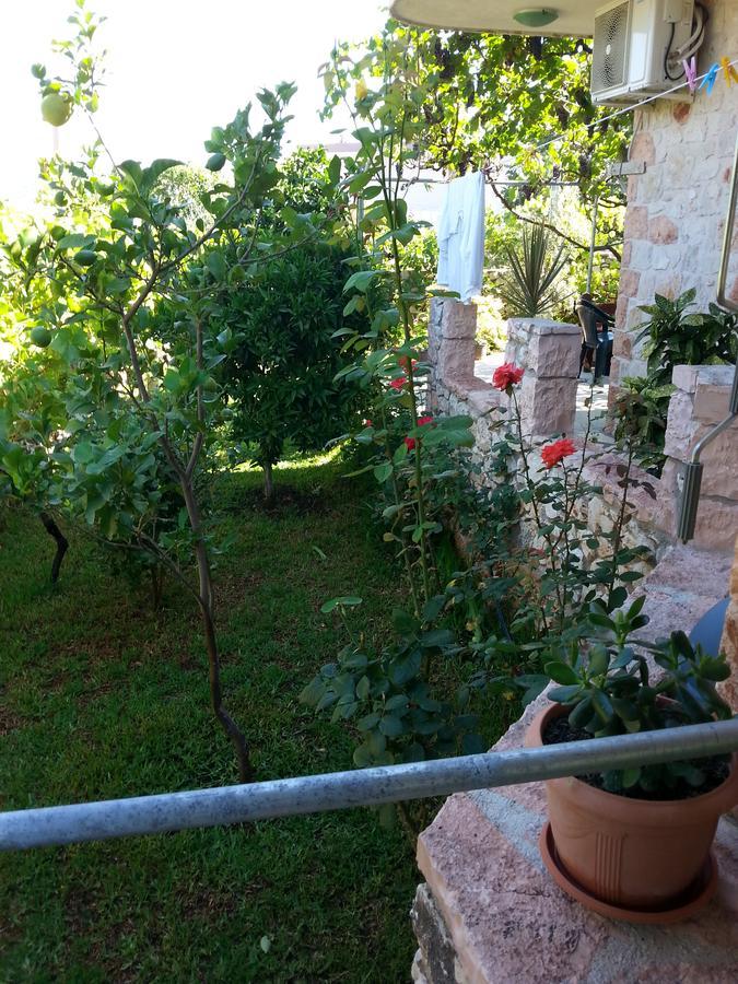 كساميل Altin Skrapari Guesthouse المظهر الخارجي الصورة